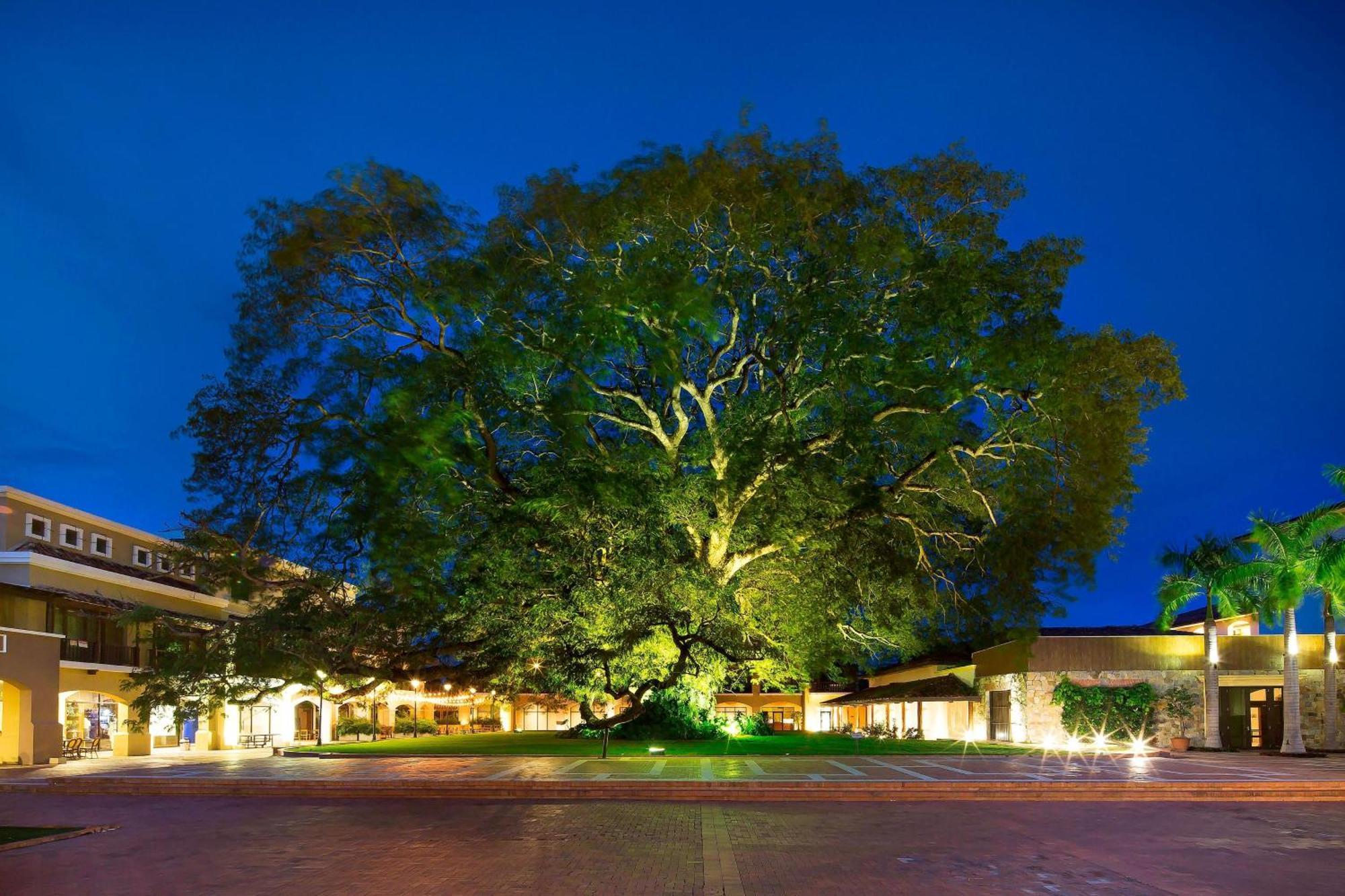 The Buenaventura Golf & Beach Resort, Autograph Collection Río Hato Exterior foto